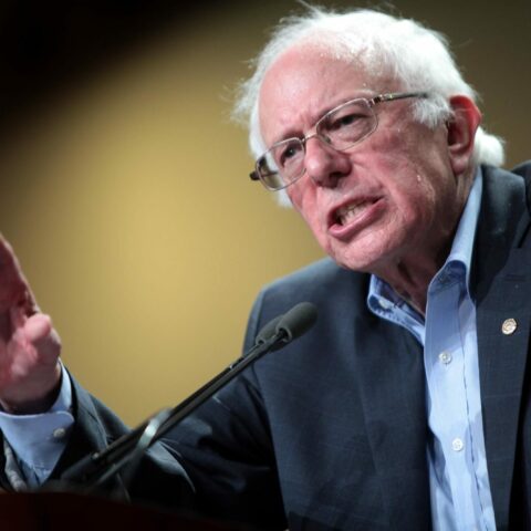 Bernie Sanders og det nye USA: Feel the bern