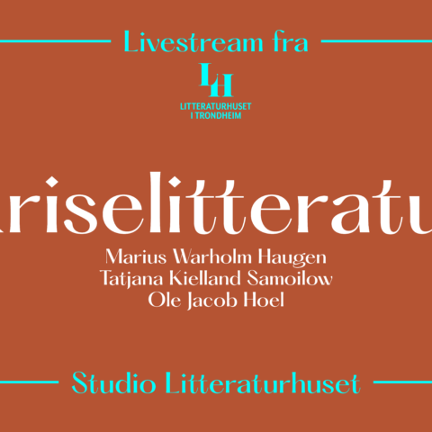 Kriselitteratur