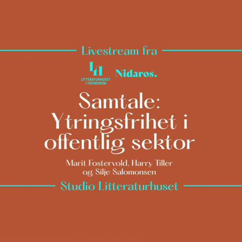 Ytringsfrihet i offentlig sektor