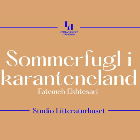 Sommerfugl i karanteneland