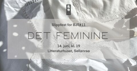 Lansering Tidsskriftet Beijing Trondheim #11 – Det feminine