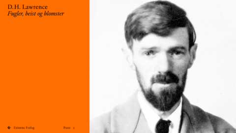 Slippfest: D.H. Lawrence – Fugler, beist og blomster